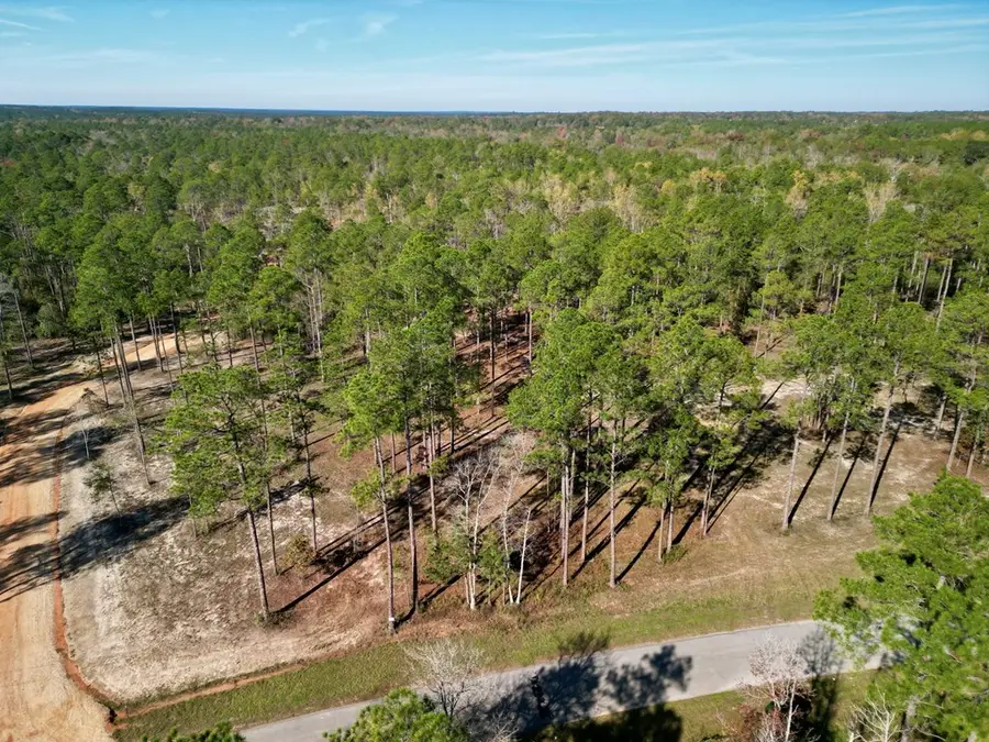 3.81 Cowart Holliday Road, Poplarville, MS 39470 - Image #2