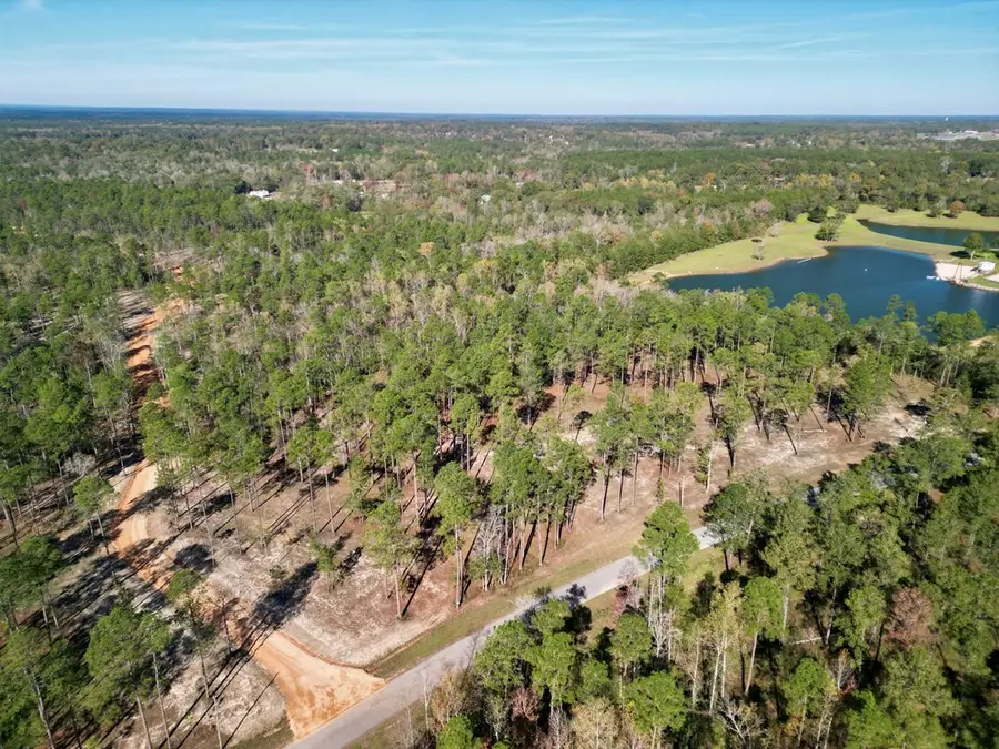 3.81 Cowart Holliday Road, Poplarville, MS 39470 - Image #3