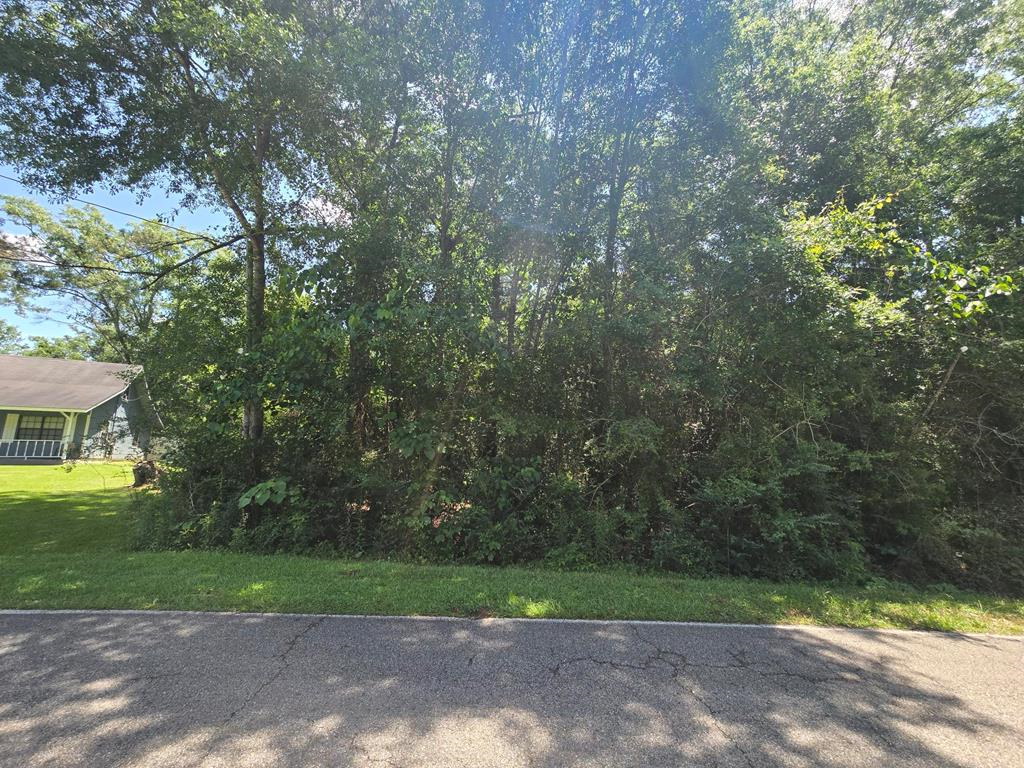 116 EAST SUNNYBROOK RD, Carriere, MS 39426 - Image #1