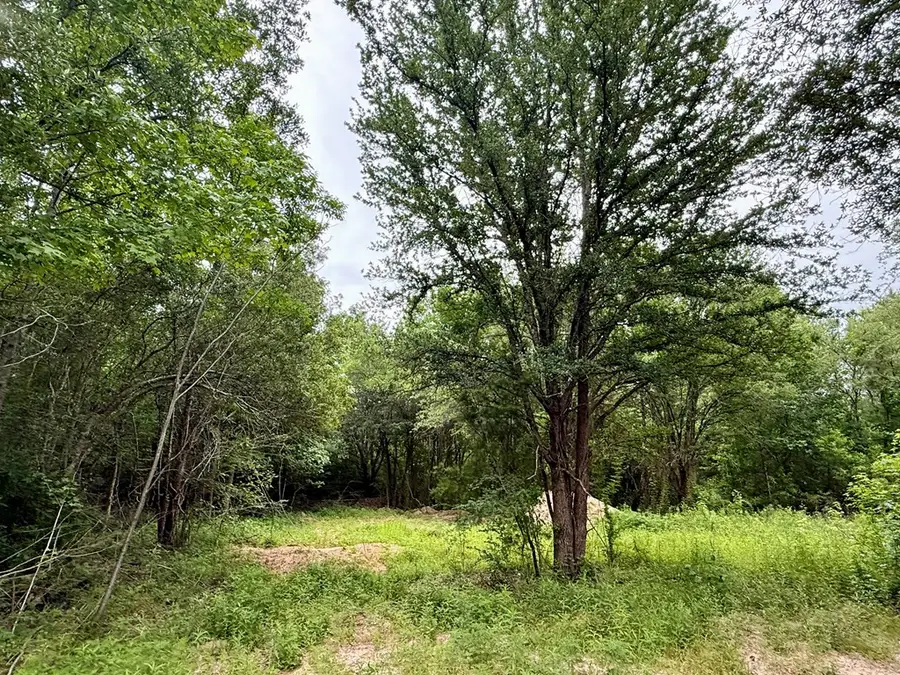 6844 Hwy 43 N, Poplarville, MS 39470 - Image #3