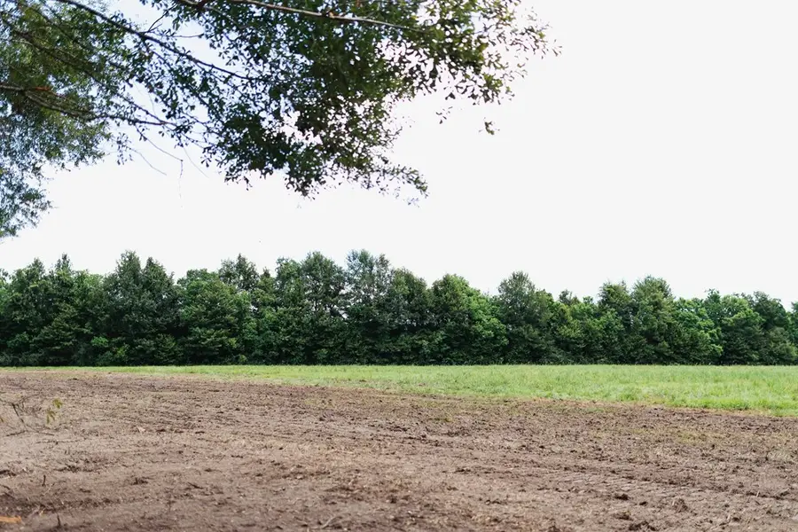 #3