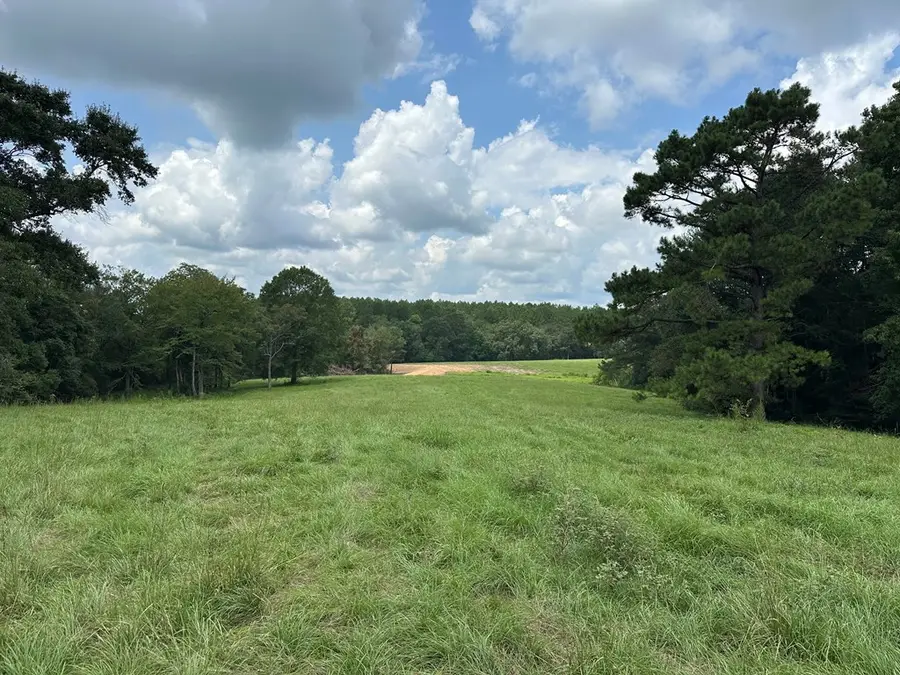 00 Slade Woodward Rd, Poplarville, MS 39470 - Image #3