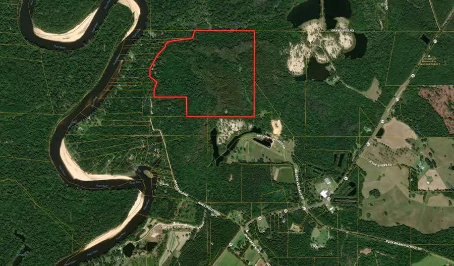 NHN Wheatfield Road, Poplarville, MS 39470 - Image #2