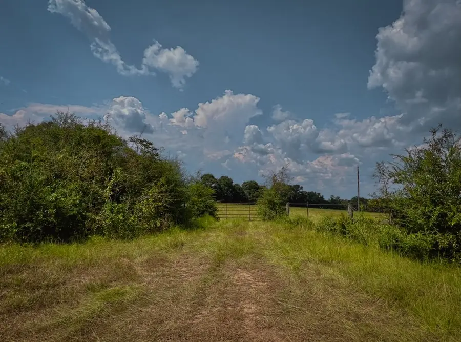 NHN Thomas School Road, Lumberton, MS 39455 - Image #2