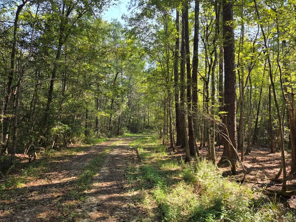 21.79 Acre Homer Ladner Road, Poplarville, MS 39470 - Image #1