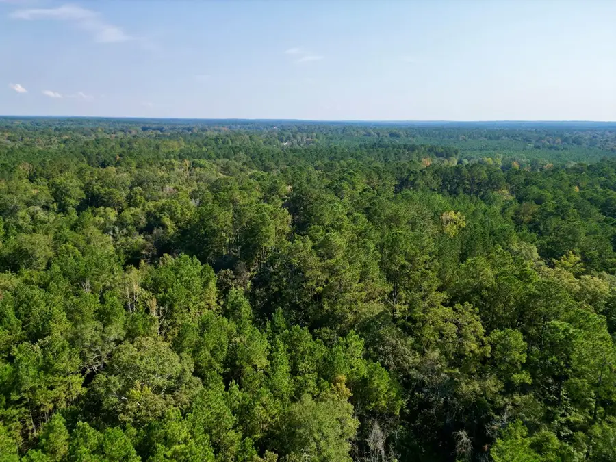 21.79 Acre Homer Ladner Road, Poplarville, MS 39470 - Image #2