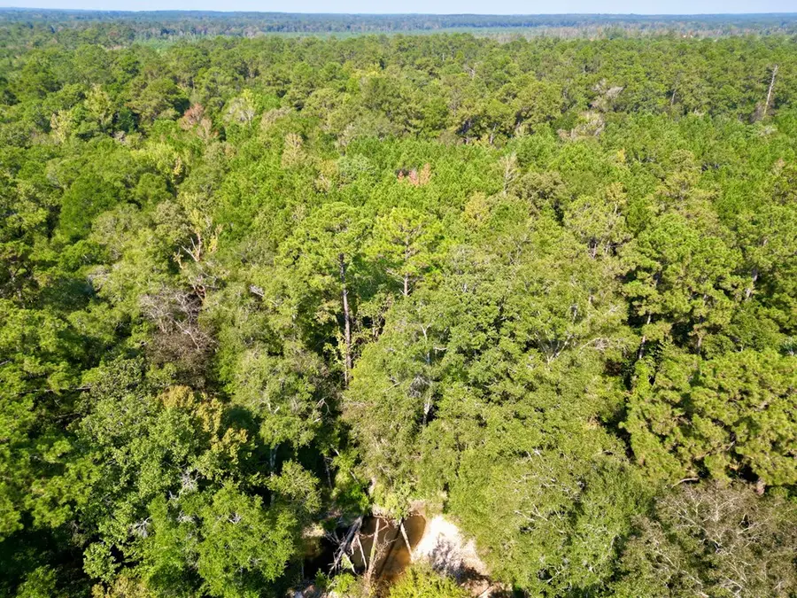 21.79 Acre Homer Ladner Road, Poplarville, MS 39470 - Image #3