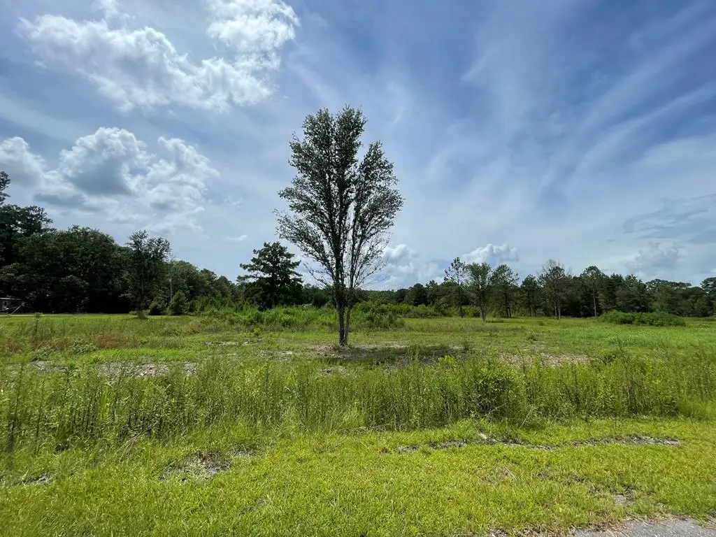 0 Jessie Lane, Picayune, MS 39466 - #1