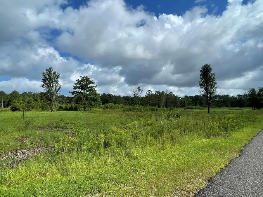0 Jessie Lane, Picayune, MS 39466 - #3