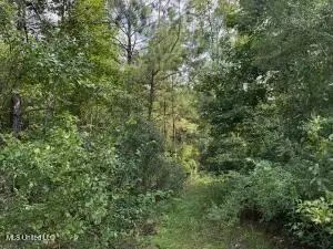NHN Darby Lane, Carriere, MS 39426 - #2