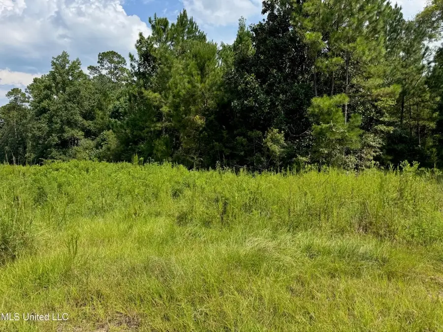 NHN Darby Lane, Carriere, MS 39426 - #3