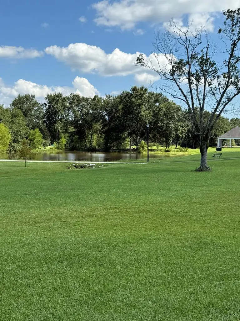 0 Bellmead, Carriere, MS 39426 - #1