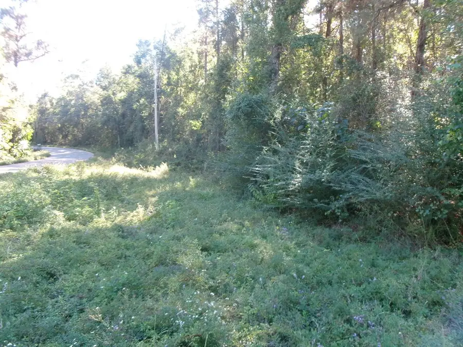 0 Lakeside Dr., Carriere, MS 39426 - Image #3