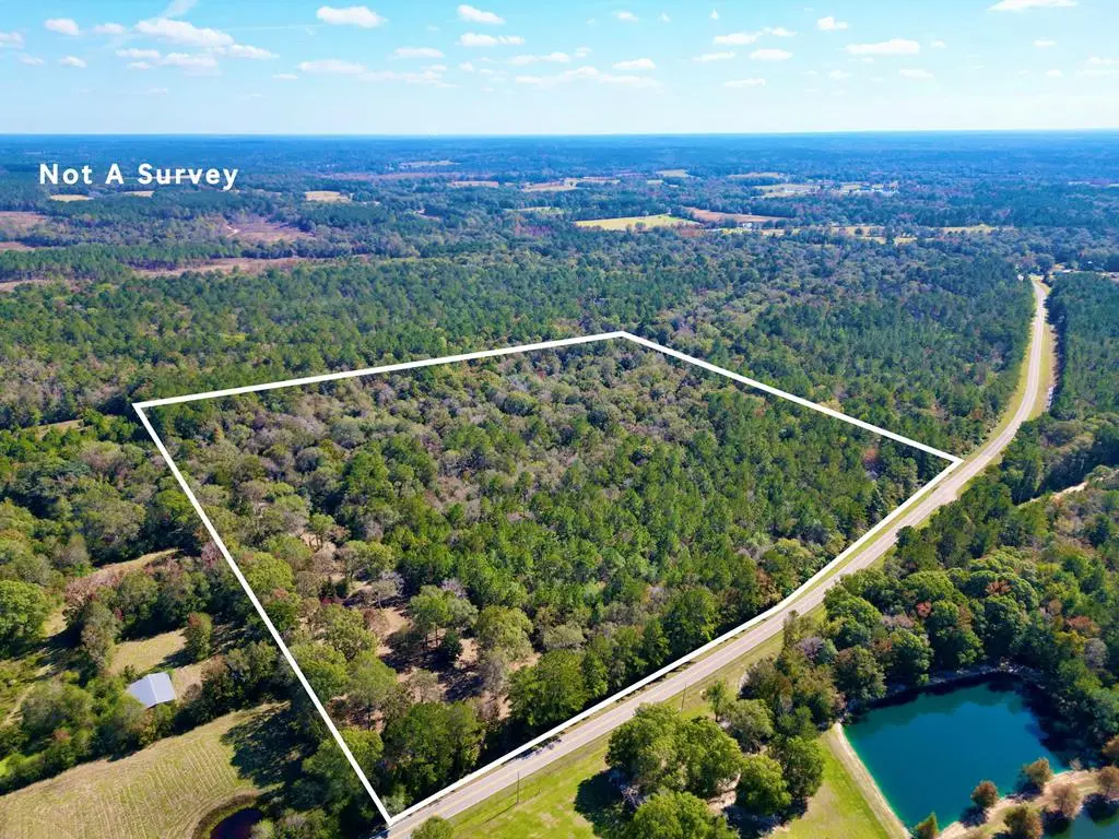 42.56 AC Fords Creek Road, Poplarville, MS 39470 - Image #1