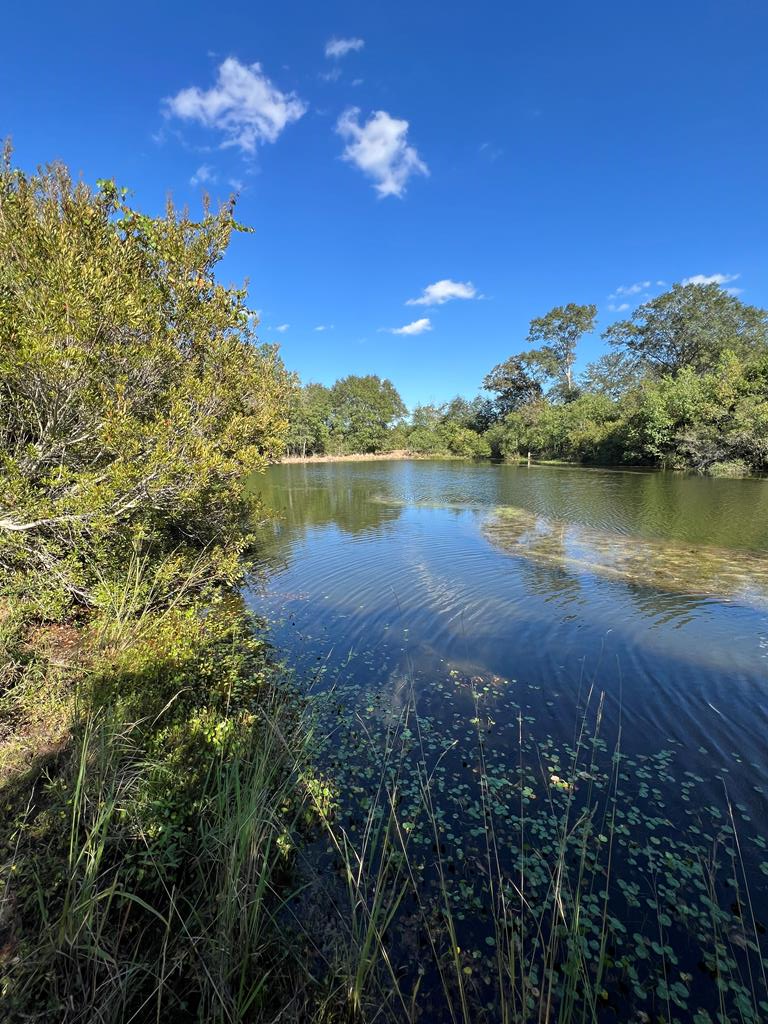 3200 Highway 53, Poplarville, MS 39470 - Image #1