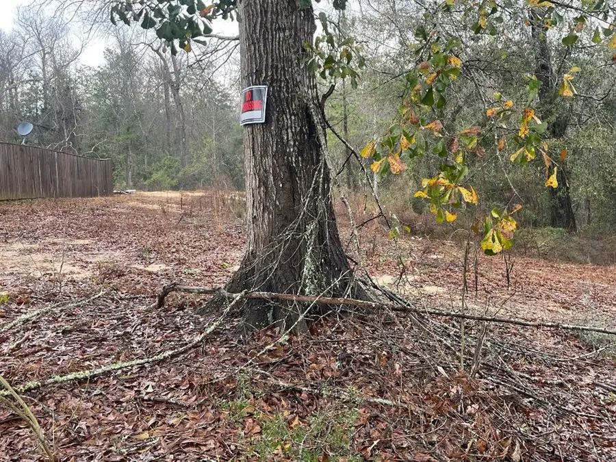 205 Rue St Germaine, Carriere, MS 39426 - Image #2