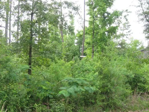 0 Rollingwood Dr Lot 1294, Carriere, MS 39426