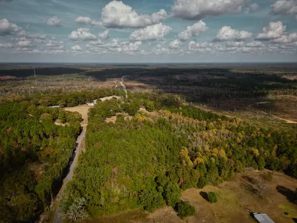 7.32 Ac Oscar Lee Road, Poplarville, MS 39470