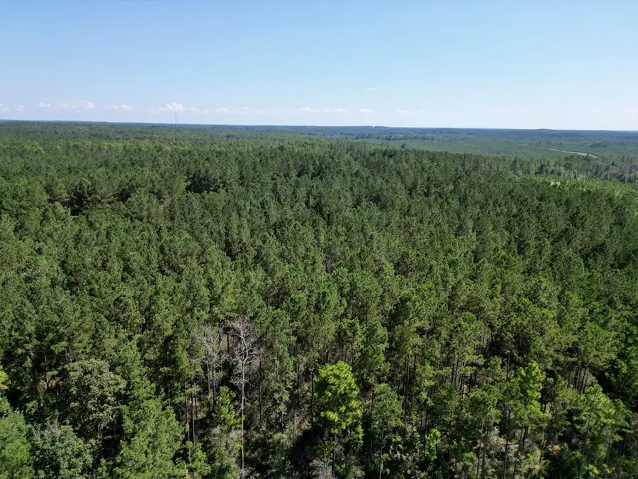 NHN Gobbler Head, Poplarville, MS 39470 - Image #2