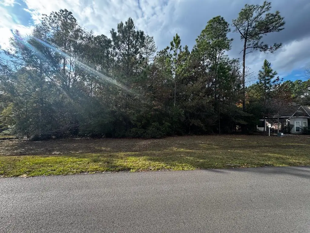 0 Chinaberry Circle, Carriere, MS 39426 - Image #1