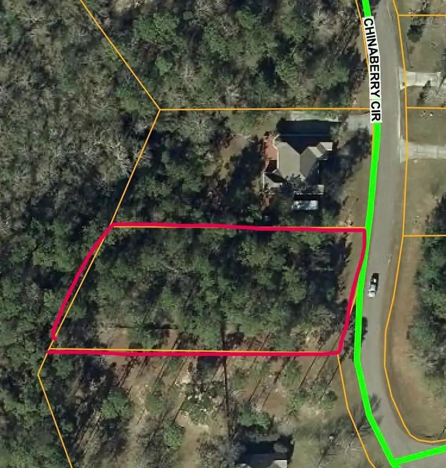 0 Chinaberry Circle, Carriere, MS 39426 - Image #2