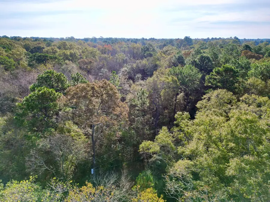 00 Lowe St, Poplarville, MS 39470 - Image #2