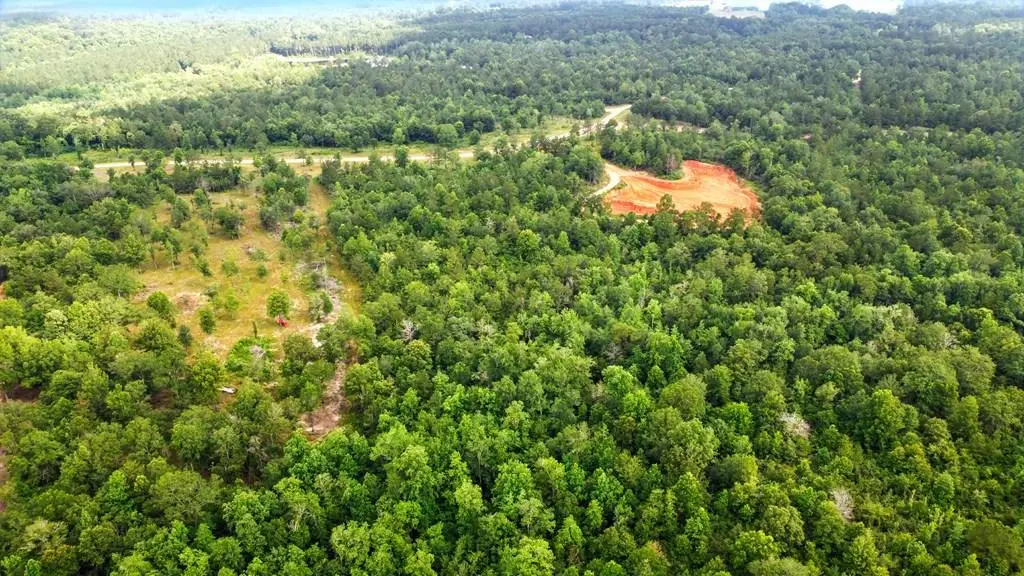 TBD Bent Creek, Lot 21, Picayune, MS 39466 - Image #1