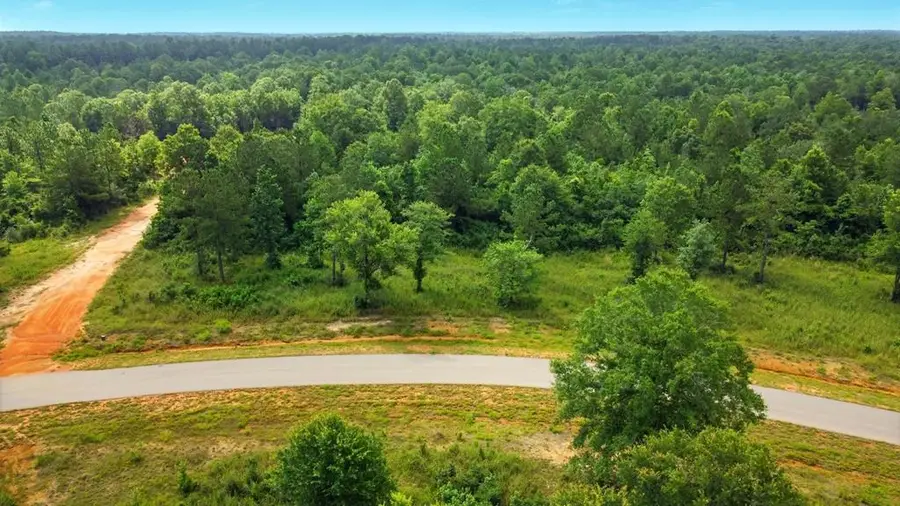 TBD Bent Creek, Lot 21, Picayune, MS 39466 - Image #2
