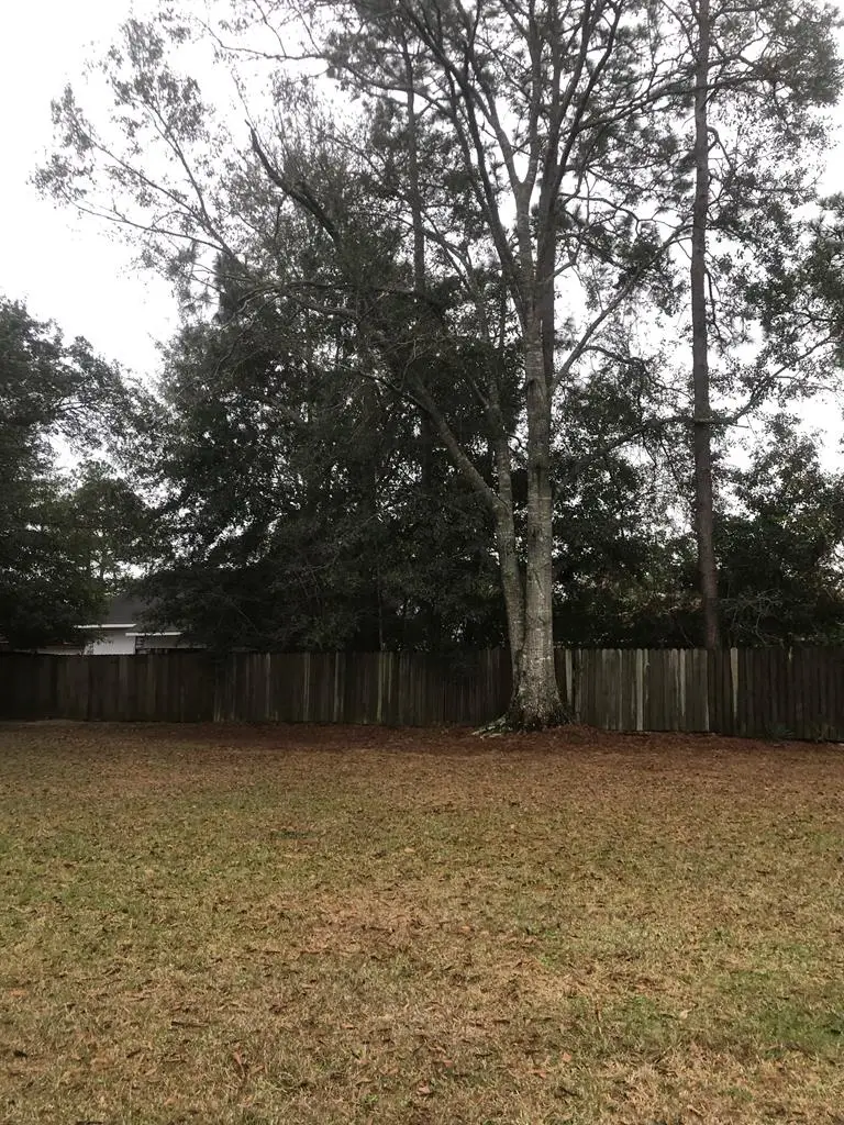 Lot 170 Country Club Drive, Picayune, MS 39466 - Image #1