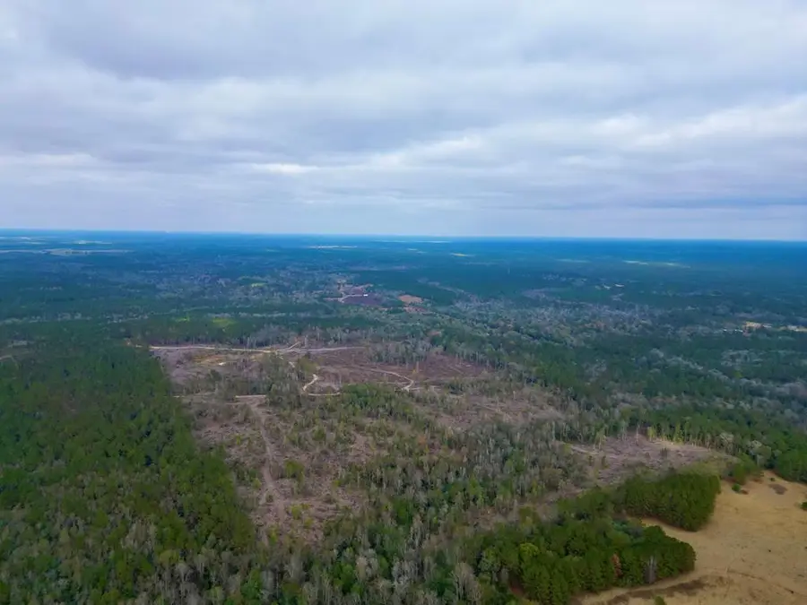 00 Thomas School rd, Lumberton, MS 39455 - Image #2