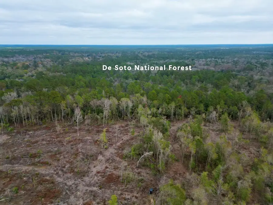 00 Thomas School rd, Lumberton, MS 39455 - Image #3