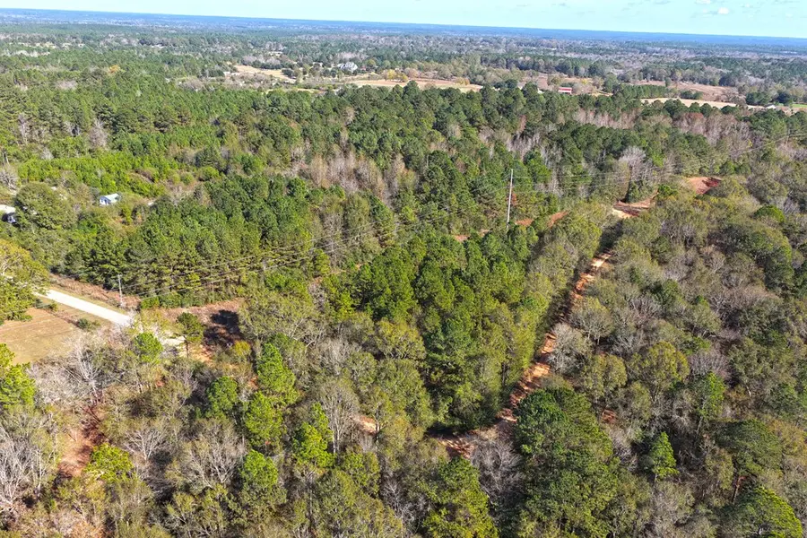 NHN Tamchelle Road, Lumberton, MS 39470 - #3