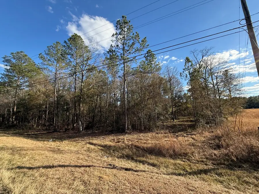 1090 West Union Rd (Parcel A), Carriere, MS 39426 - Image #2