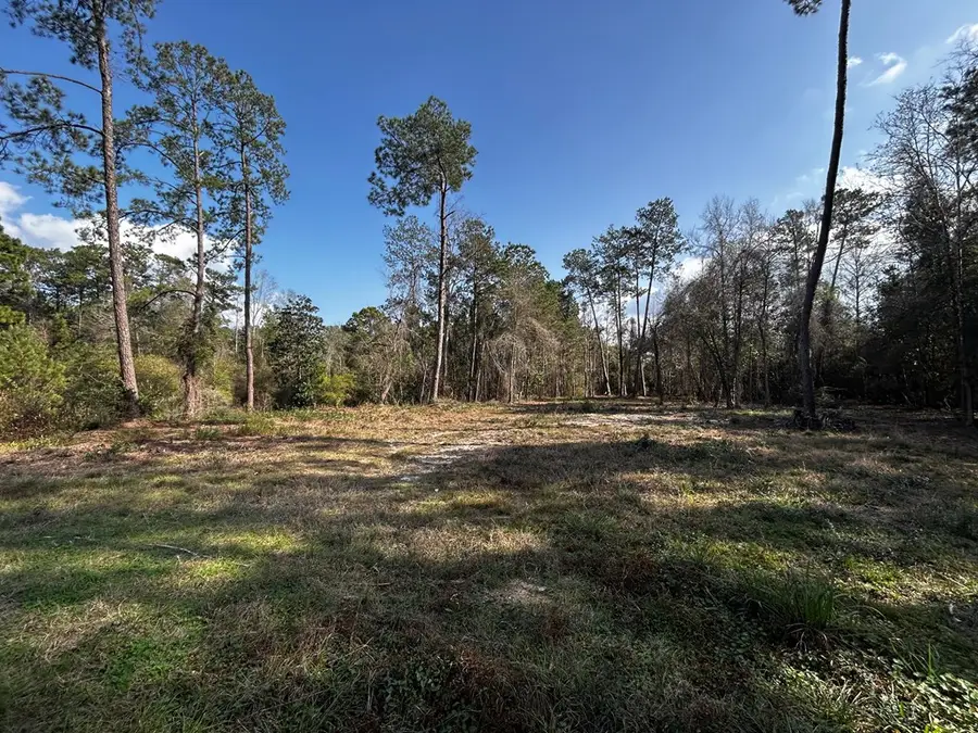 0 Lakeside Dr, Carriere, MS 39426 - #2