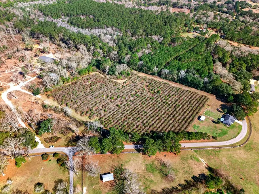 0 H Burge Rd, Poplarville, MS 39470 - #2