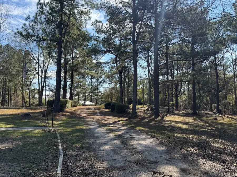 151 Plantation Rd, Carriere, MS 39426 - #3