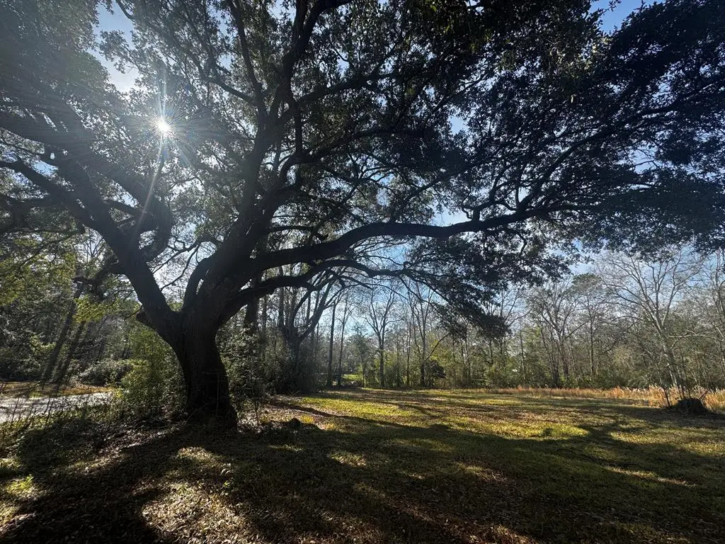 123 Luther Davis, Picayune, MS 39466 - Image #1