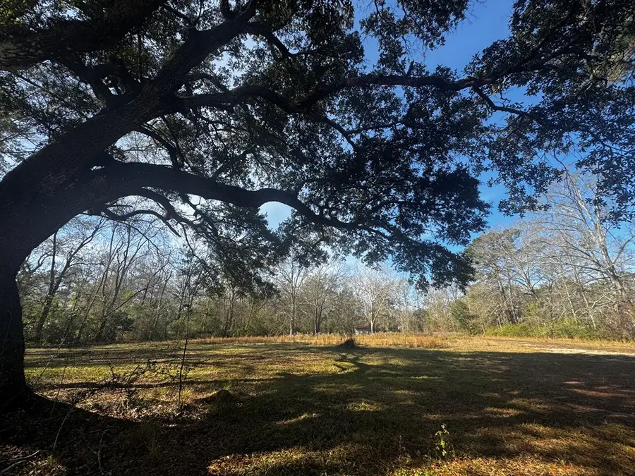 123 Luther Davis, Picayune, MS 39466 - Image #2