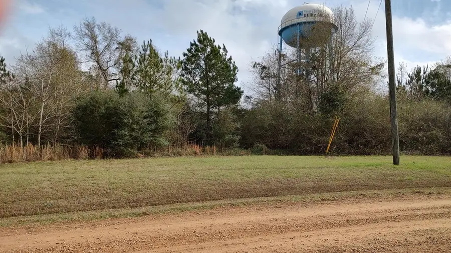 NHN Resort Drive N, Lumberton, MS 39455 - #3