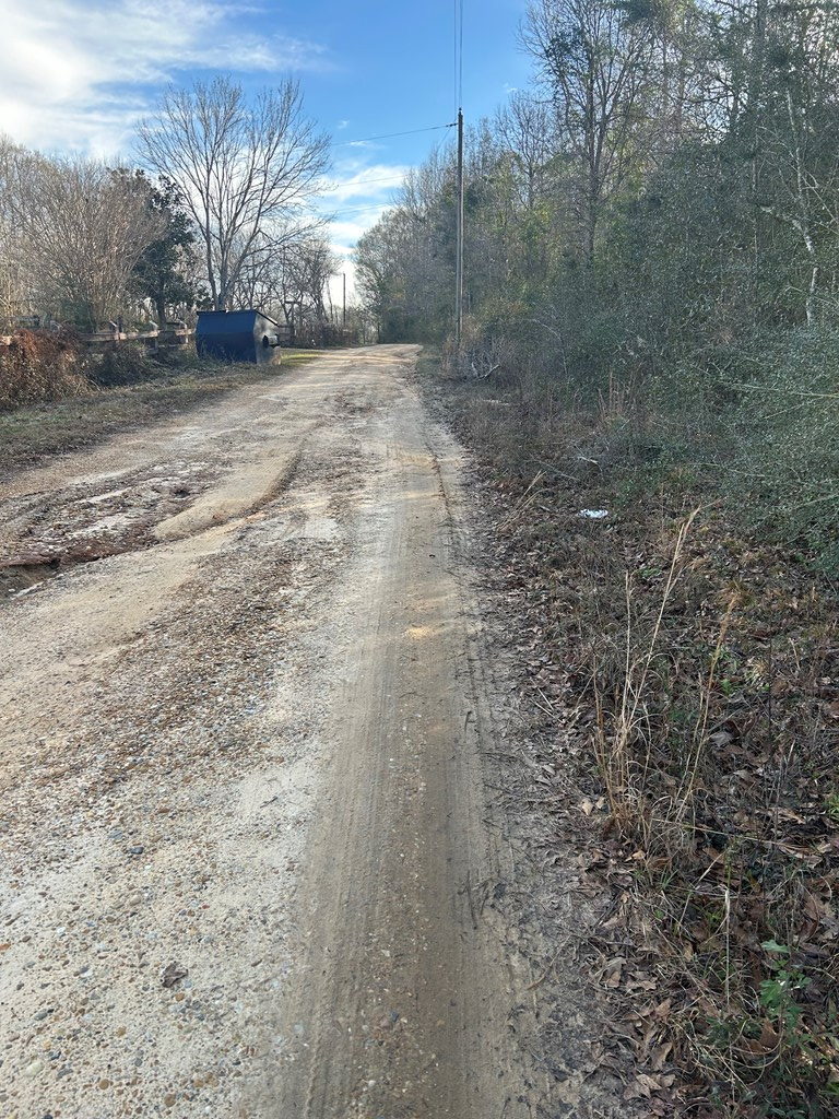 NHN Pin Oak Dr, Poplarville, MS 39470 - #3