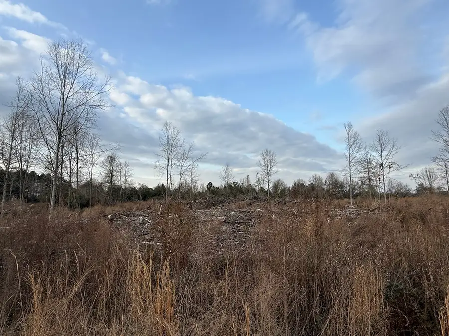 NHN Winchester Rd, Poplarville, MS 39470 - #2