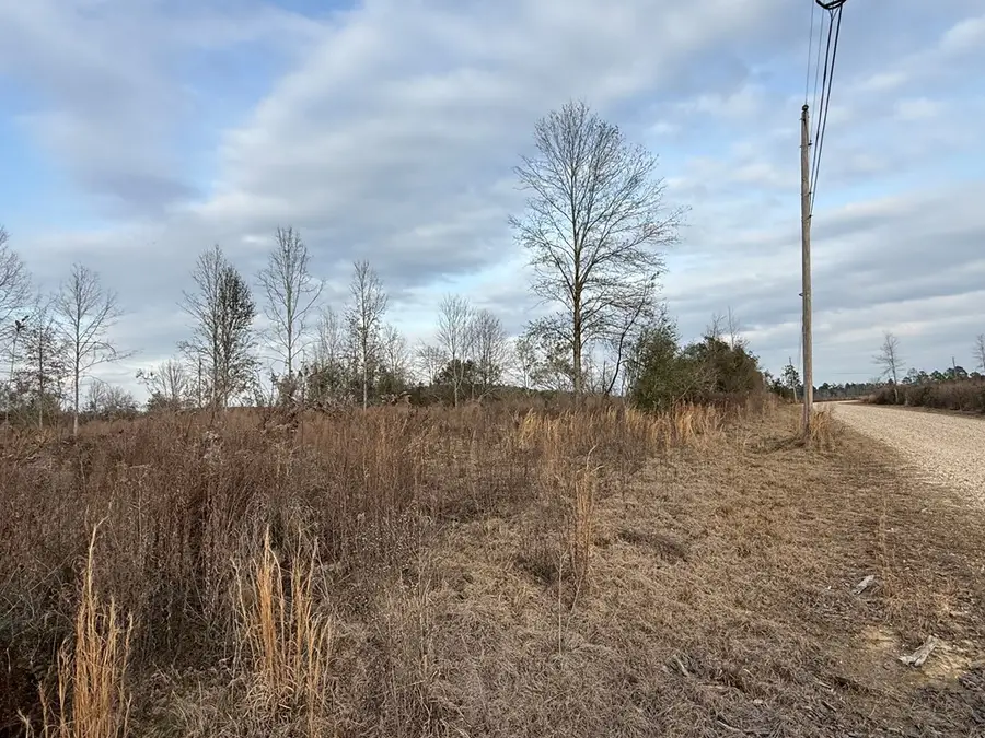 NHN Winchester Rd, Poplarville, MS 39470 - #3
