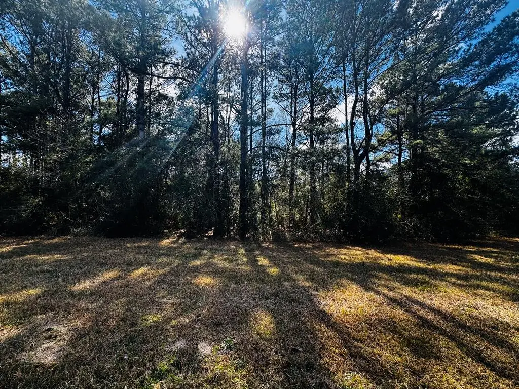 NHN E Lake Cypress, Perkinston, MS 39573 - #1