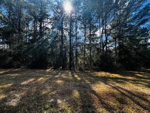NHN E Lake Cypress, Hancock Co, MS 39573