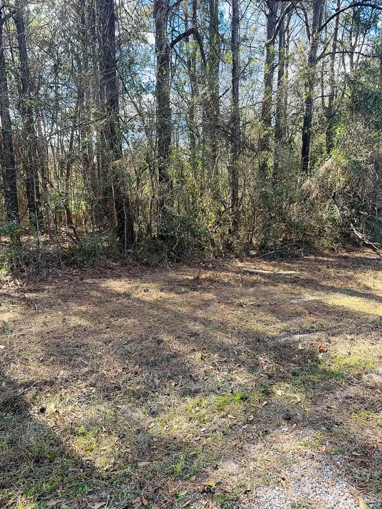 NHN E Lake Cypress, Perkinston, MS 39573 - #3