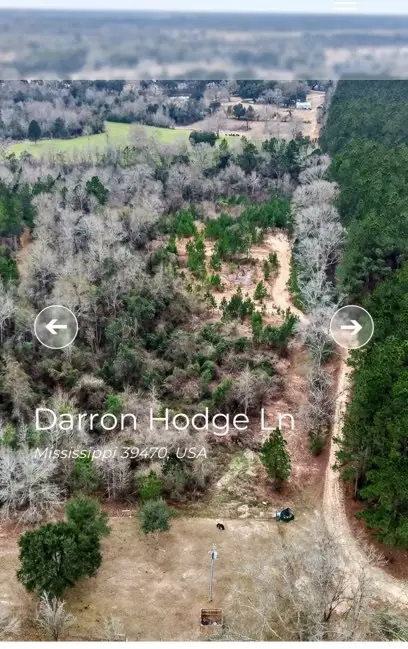 0 Darron Hodge Lane, Poplarville, MS 39470 - #2