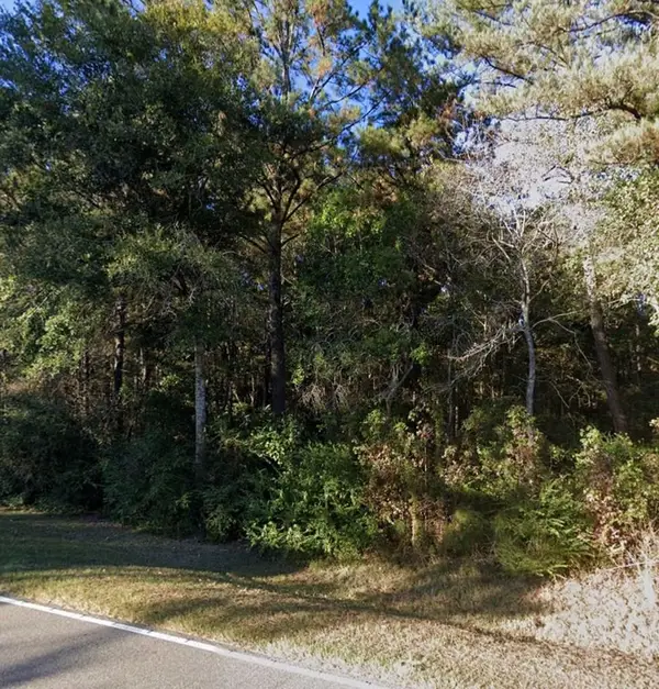 Lot 2 Anchor Lake Rd, Carriere, MS 39426