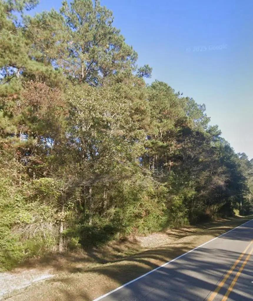 Lot 4 Anchor Lake Rd, Carriere, MS 39426 - Image #1