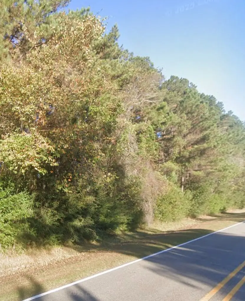Lot 10 Anchor Lake Rd, Carriere, MS 39426 - Image #3