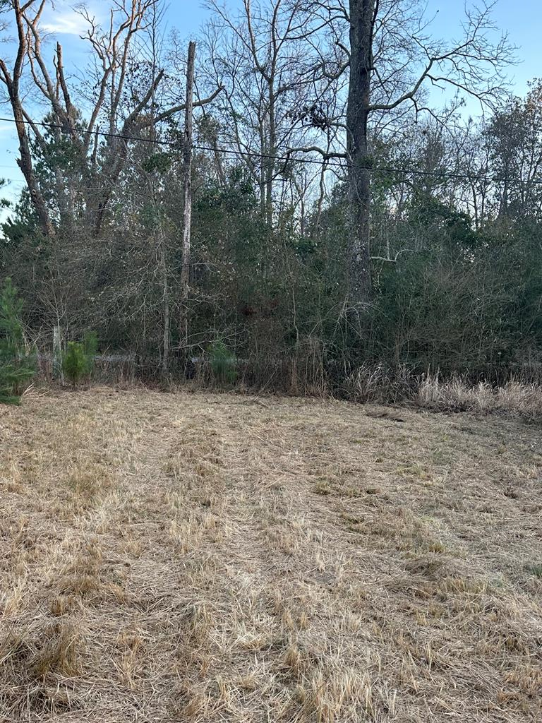 000 Ovelle Lee, Poplarville, MS 39466 - #1